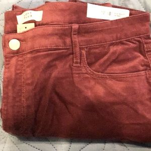 Loft size 18 Skinny Leg Corduroys